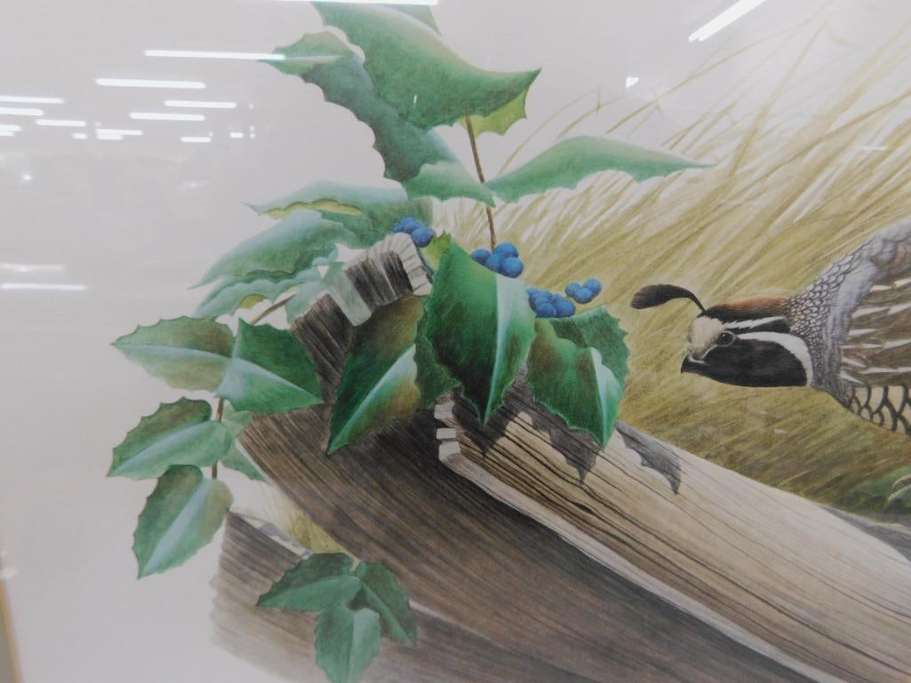 Signed Print - Richard Sloan - "California Quail" - 30" x 34" - 6