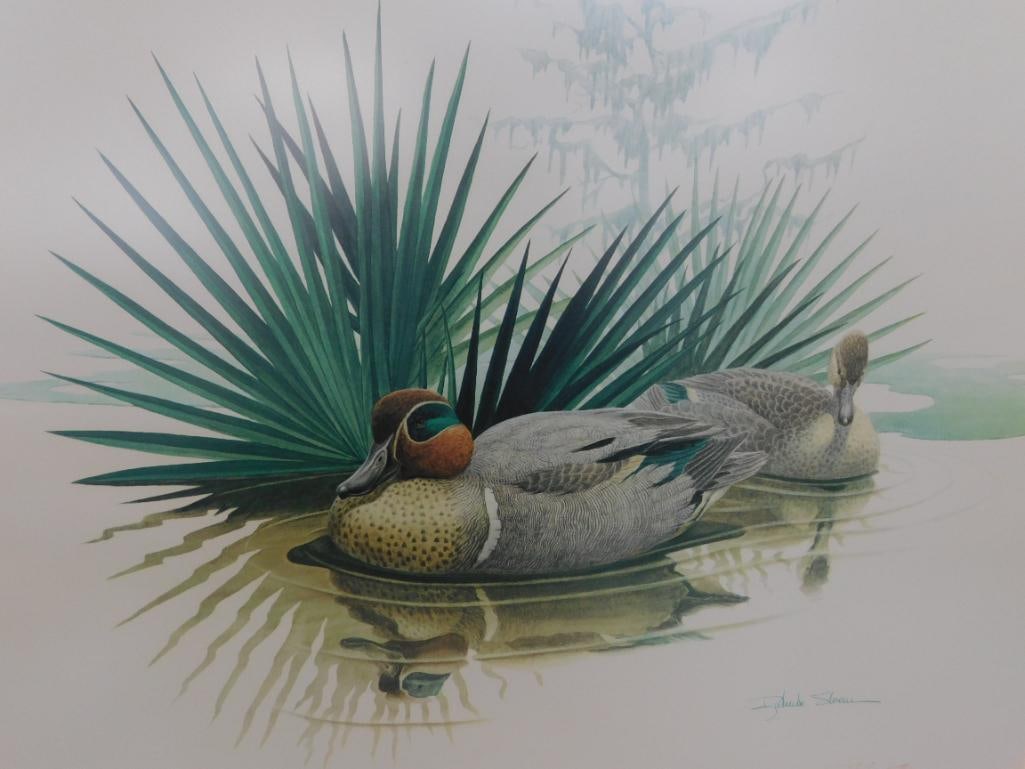 Signed Print - Richard Sloan - "Green Winged Teal" - 31.5" x 36.5" - 10