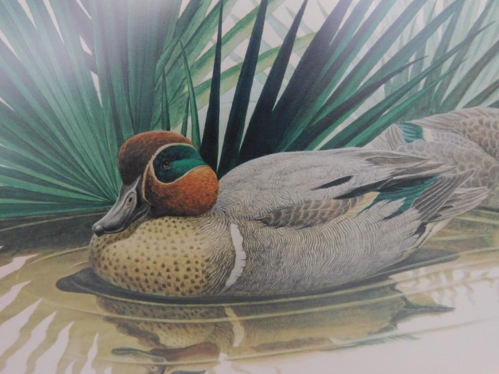 Signed Print - Richard Sloan - "Green Winged Teal" - 31.5" x 36.5" - 3