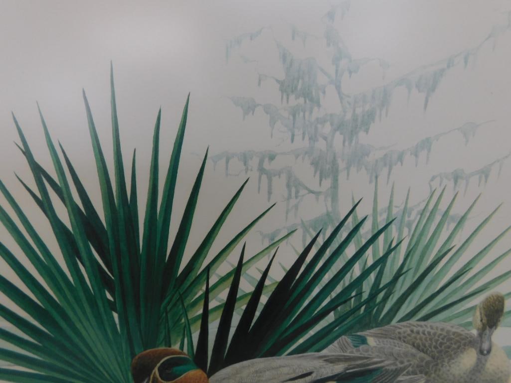 Signed Print - Richard Sloan - "Green Winged Teal" - 31.5" x 36.5" - 5