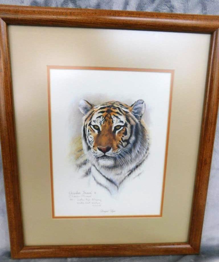 Charles Frace - Signed Print - "Bengal Tiger" - 17" x 14.5": See Photos For Condition and Details