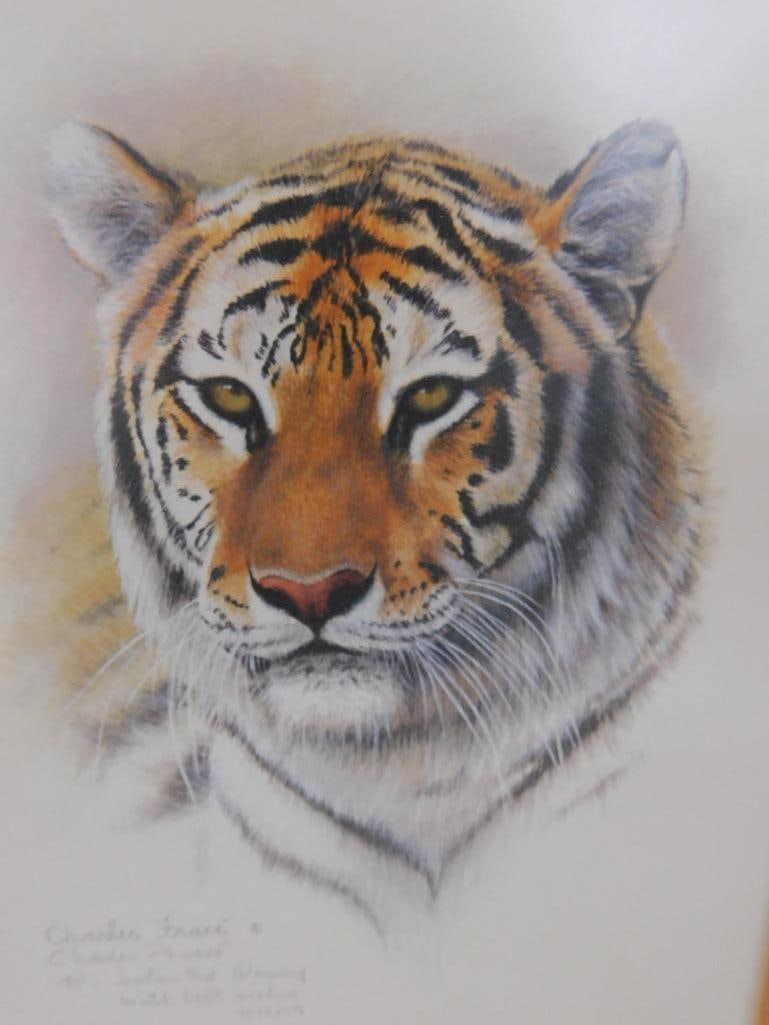 Charles Frace - Signed Print - "Bengal Tiger" - 17" x 14.5" - 5