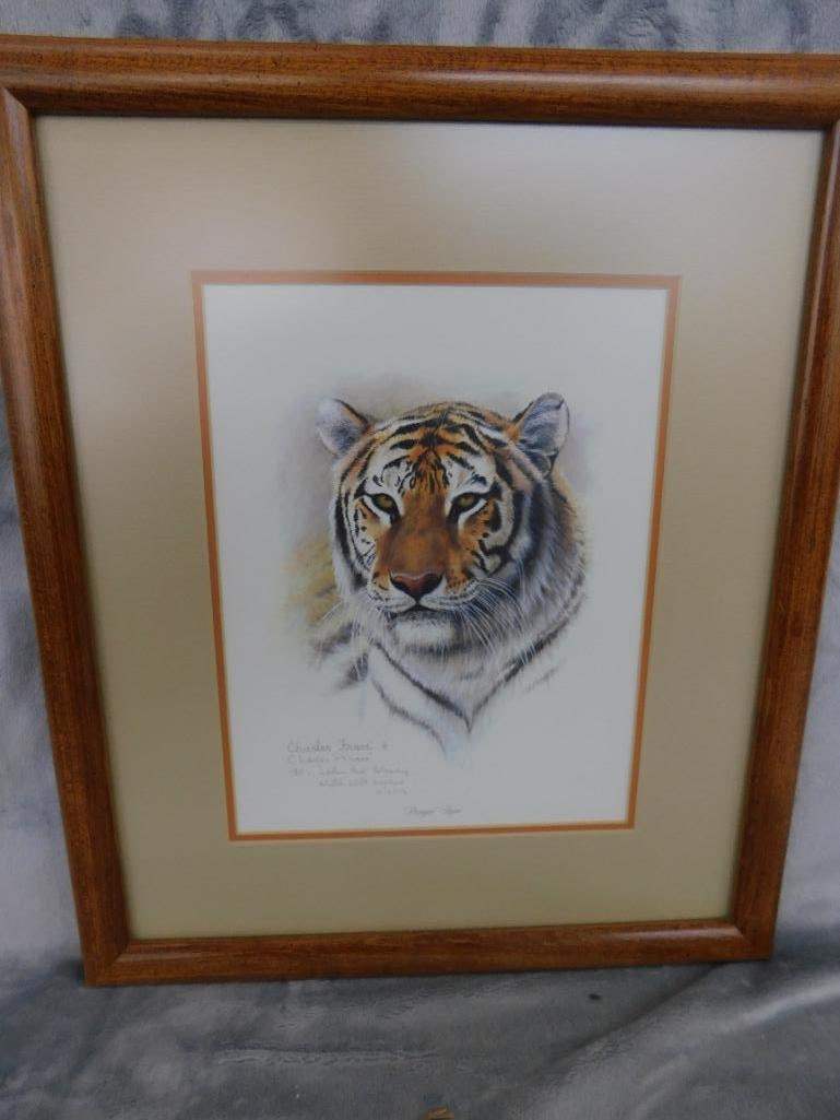 Charles Frace - Signed Print - "Bengal Tiger" - 17" x 14.5" - 7