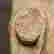 item-55774713=7