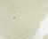 Song Dynasty Chinese Antique Porcelain Bowl - 5