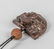 Group of Chinese Jade & Nuts Carvings - 6