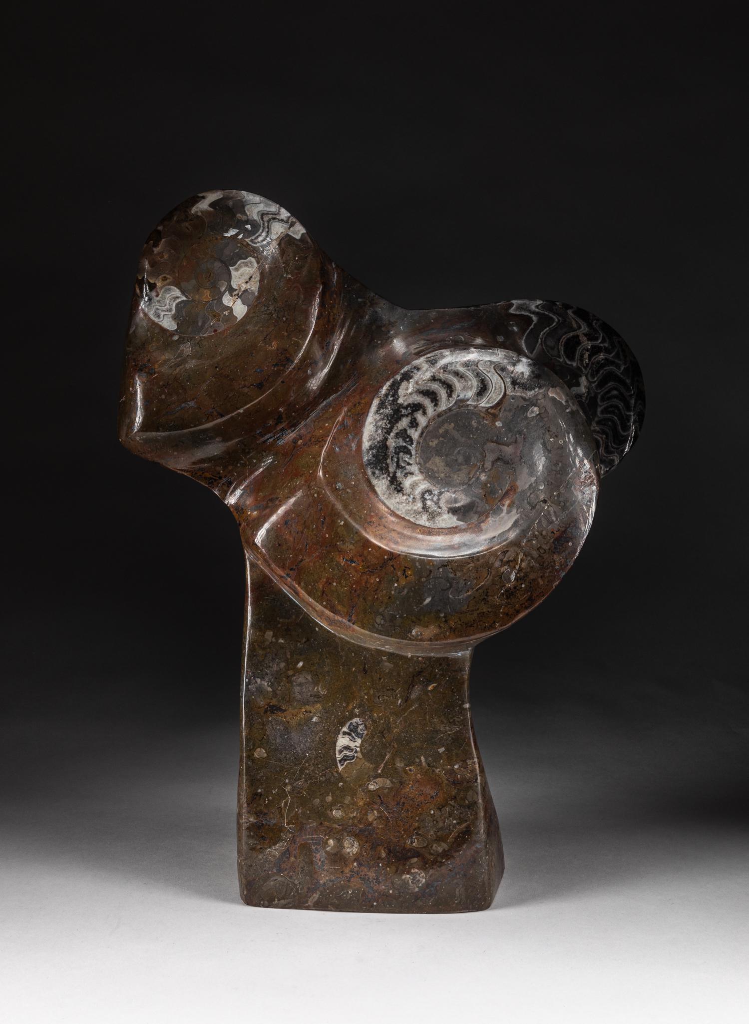 Tall Ammonite Fossil Type Table Sculpture (1 of 10)