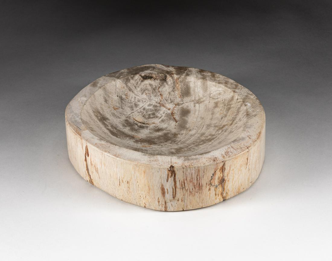 Fine Designed Petrified Wood Branch Slab Fossil (1 of 7)