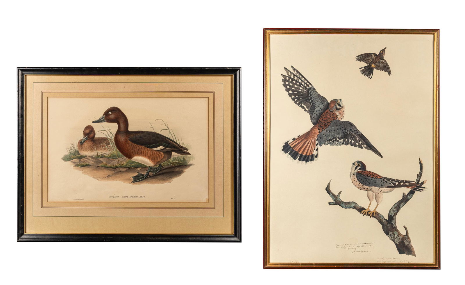 Group of Signed Lithograph (1 of 14)