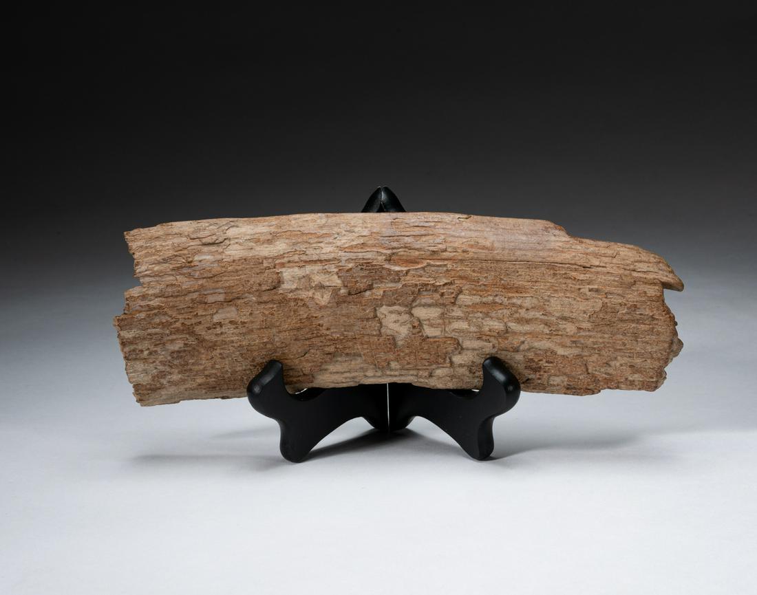 Collectible Mastodon Mammoth Bark Table Sculpture: Mammoths ruled the arctic during the last Ice Age. These scales are cuts of fossilized tusk, and are several hundred thousand years old. 8.75-3 inch. Minor chips
