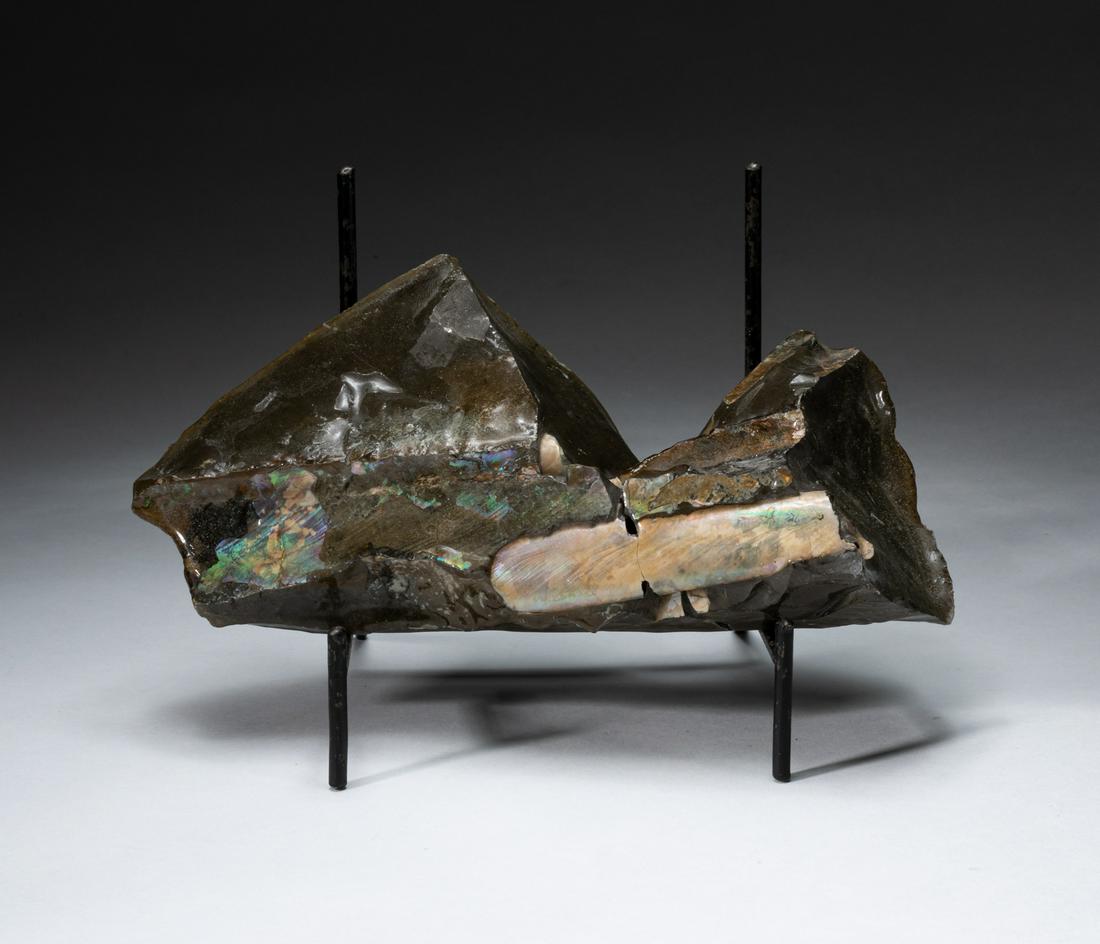 Lg Opalized Fossil Baculite Table Sculpture (1 of 9)