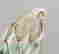 item-101341371=3