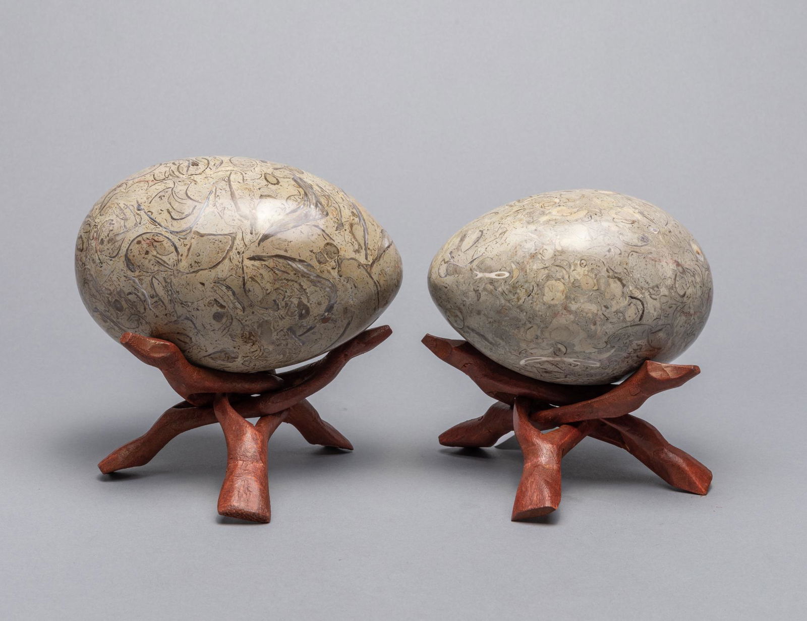Set Large Fossilized Dinosaur Bones Egg Shape Table: Group of two large fossilized dinosaur bone table sculptures in egg shape, with carved wood stands. 6.1*4.05inch (largest).