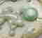 item-101351690=8