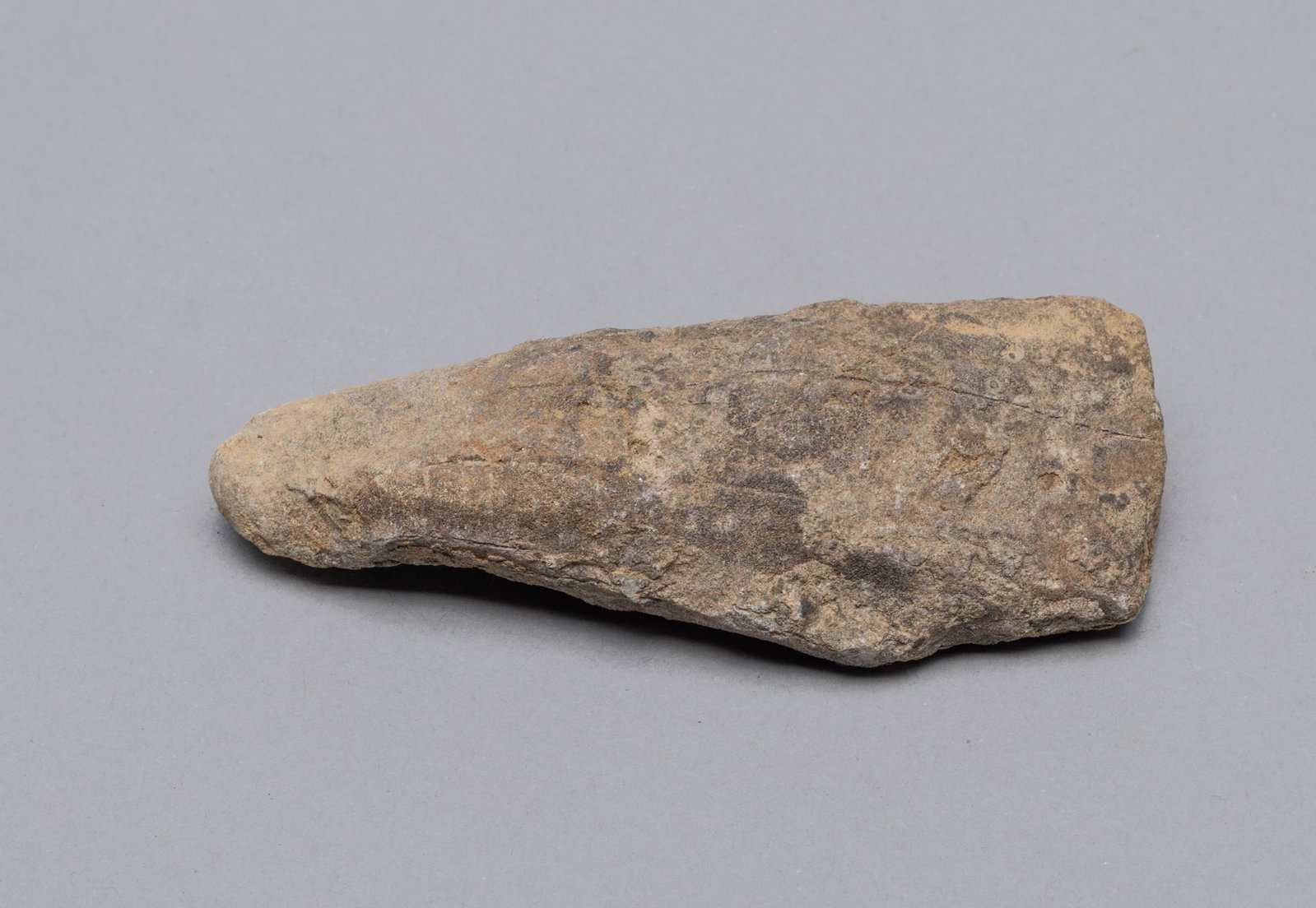 Fine Fossilized Dinosaur Tooth, T-Rex: Fossilized dinosaur tooth of Tyrannosaurus rex (often called T.rex), T.rex is a member of the Tyrannosauroidea family of huge predatory dinosaurs with small arms and two-fingered hands. 4.3*1.8*1inch.