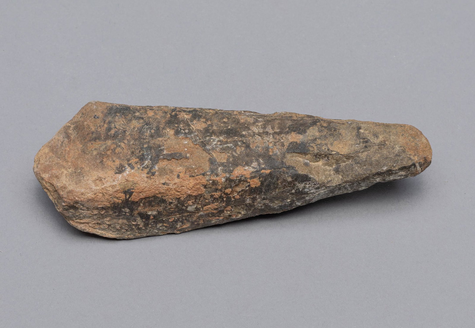 Fine Fossilized Dinosaur Tooth, T-Rex: Fossilized dinosaur tooth of Tyrannosaurus rex (often called T.rex), T.rex is a member of the Tyrannosauroidea family of huge predatory dinosaurs with small arms and two-fingered hands. 5.3*1.6*1inch.