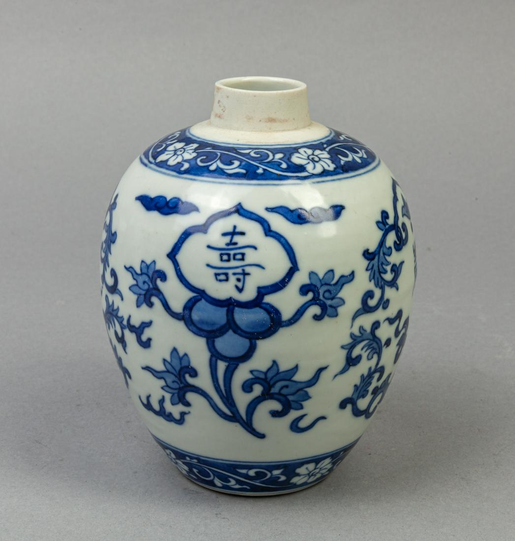 Chinese Blue White Porcelain Jar (1 of 11)
