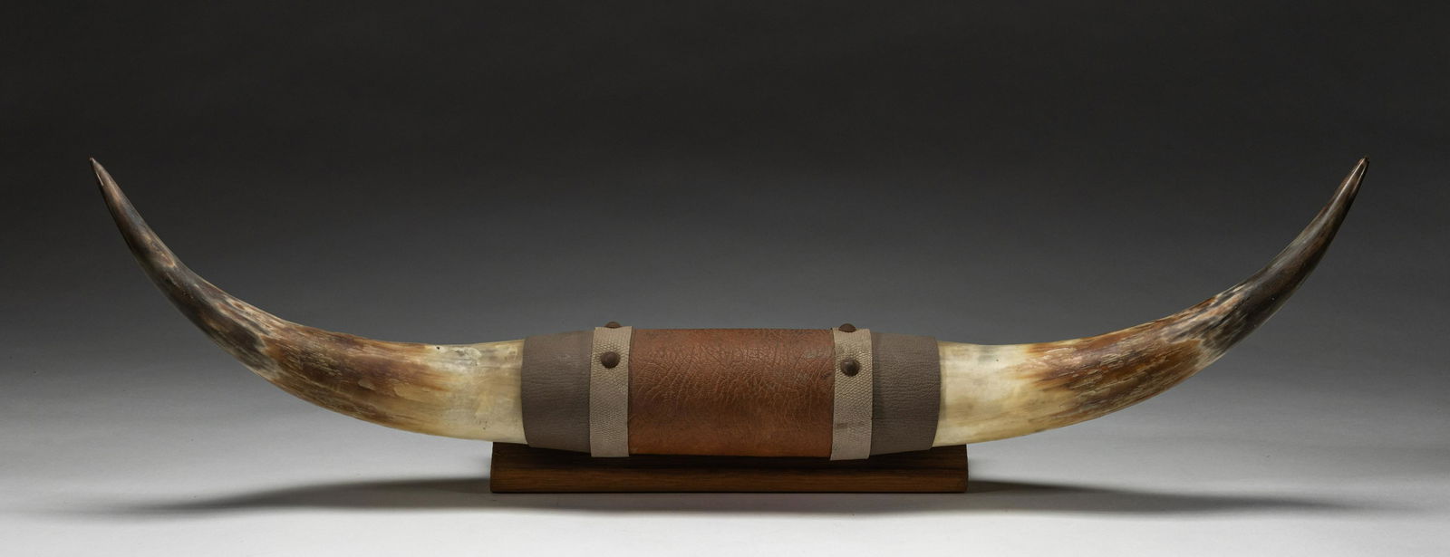 American West Type Horn Wall Hanging Decor (1 of 10)