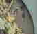 item-107403162=6