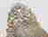 item-107403416=4