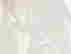 item-111391713=9