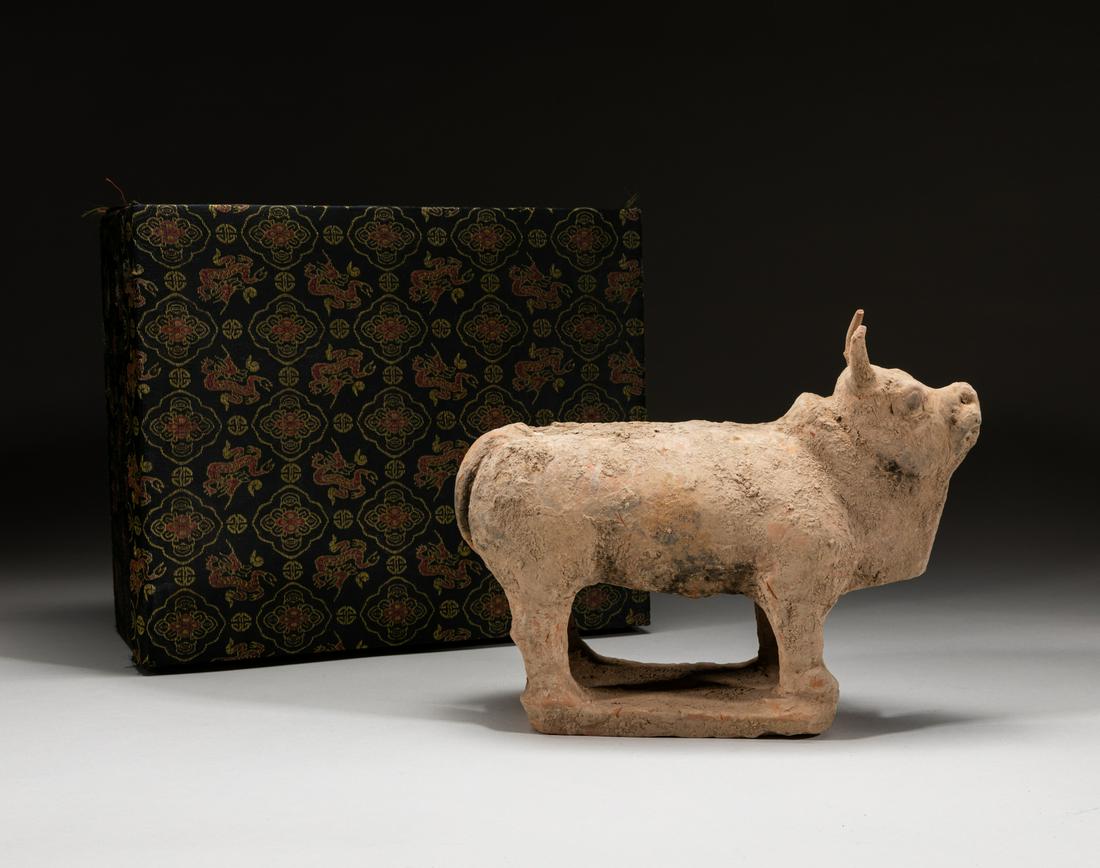 Chinese Han Dynasty Pottery Cow: Old Han type pottery standing cow, with its head held high and looking forward, with box. 10inch L, 3.8inch W, 7.8inch H (w/o box).
