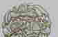 item-113554680=12