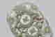 item-113554680=14
