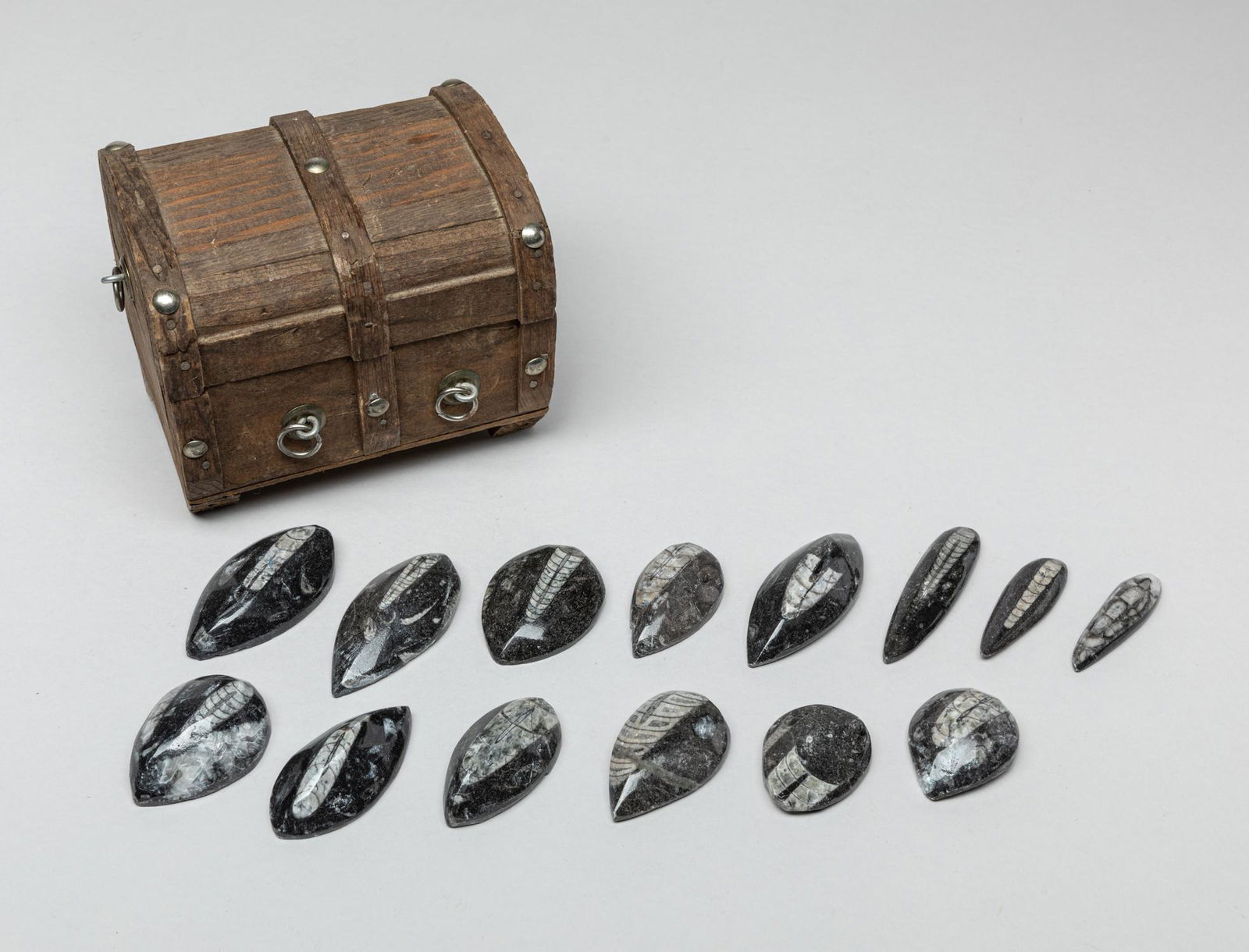 Estate Vintage Fossil Gem Stones Collection (1 of 11)