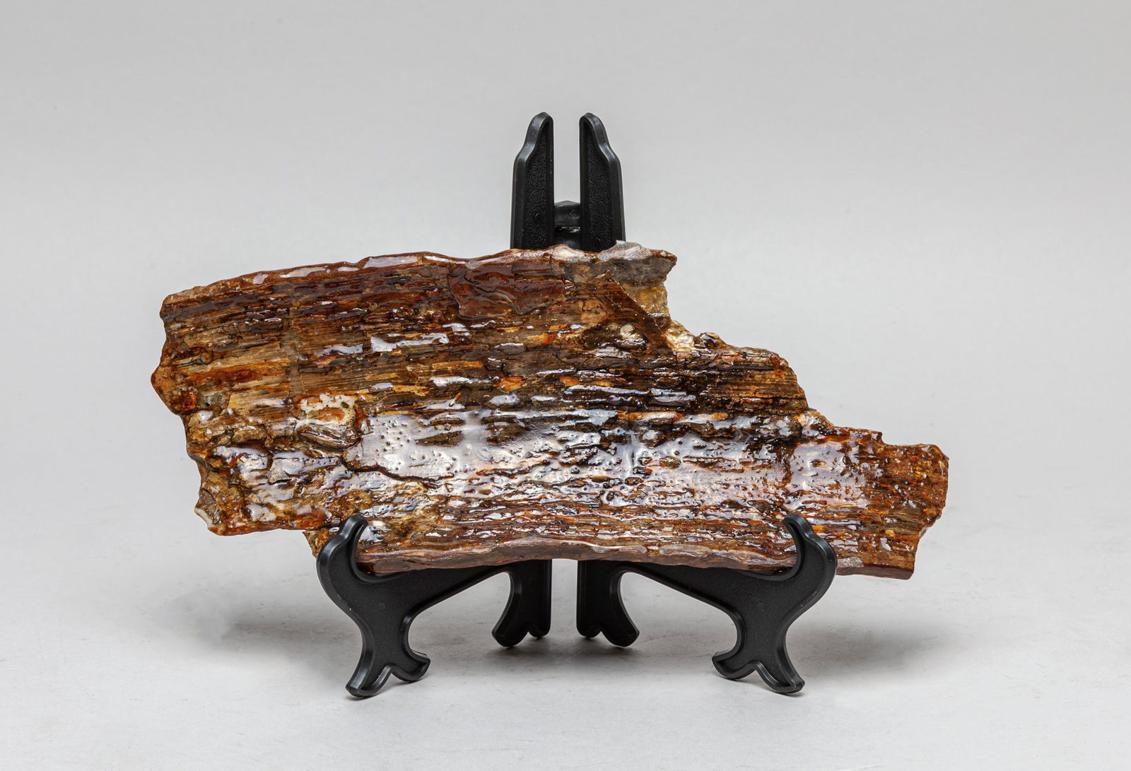 Collectible Fossilized Wooly Mamm Bark T Sculpture (1 of 11)
