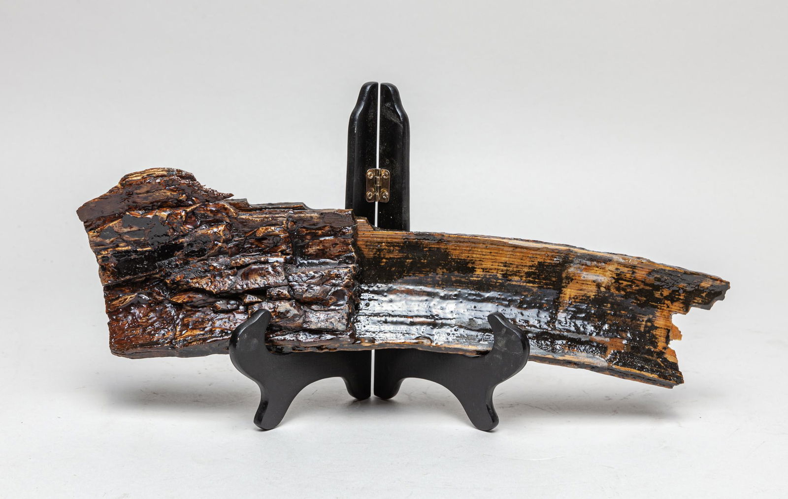 Collectible Fossilized Wooly Mamm Bark T Sculpture (1 of 12)