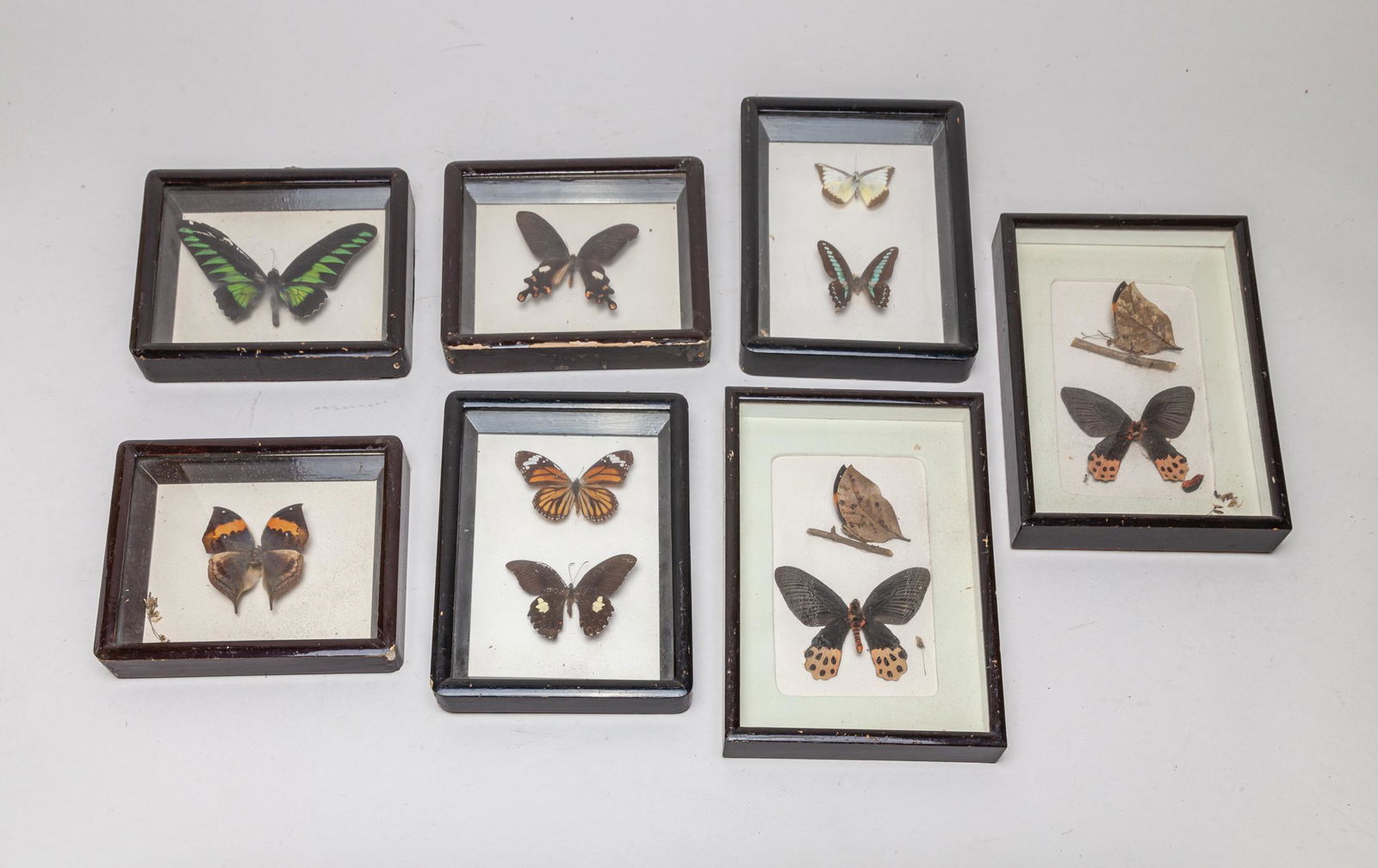 Group of Vintage Butterfly Wall Hangings (1 of 10)