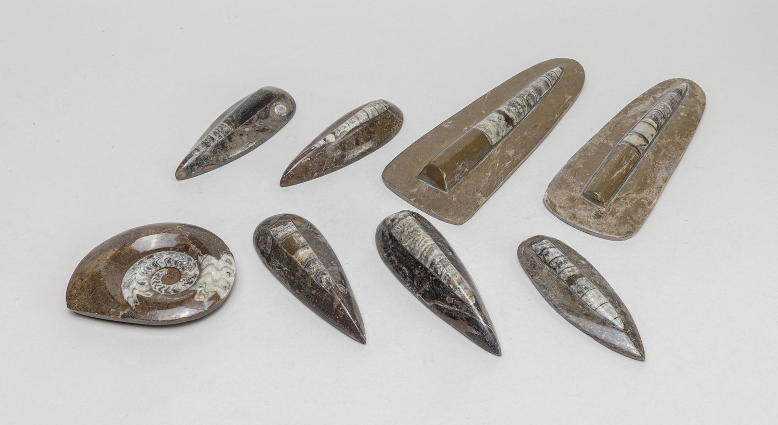 Group Fossilized Table Sculptures (1 of 11)