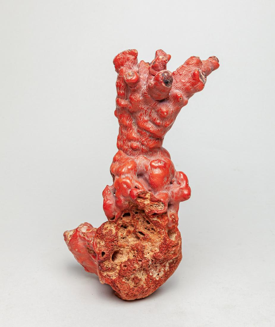 Large Coral Like Sculpture (1 of 12)