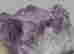 item-115765650=10
