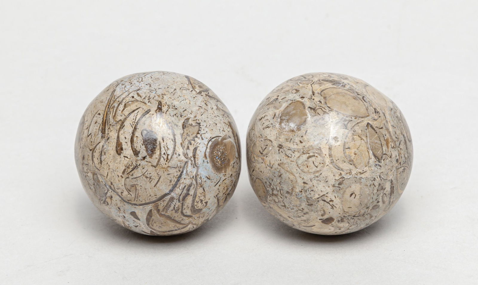 Rare Pair Dinosaur Fossil Ball: A pair of collectible carved and polished dinosaur bone fossil spheres. Approx. 1.85inch D (each).