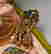item-117835125=3