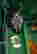 item-117835130=3
