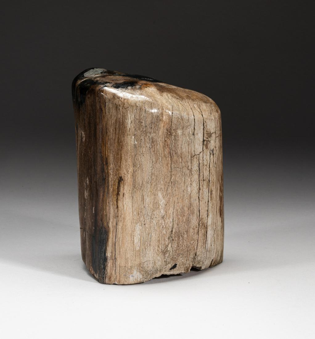 Collectible Fossil Wood Table Sculpture (1 of 11)