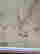 item-117835474=2