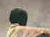 item-117835474=3