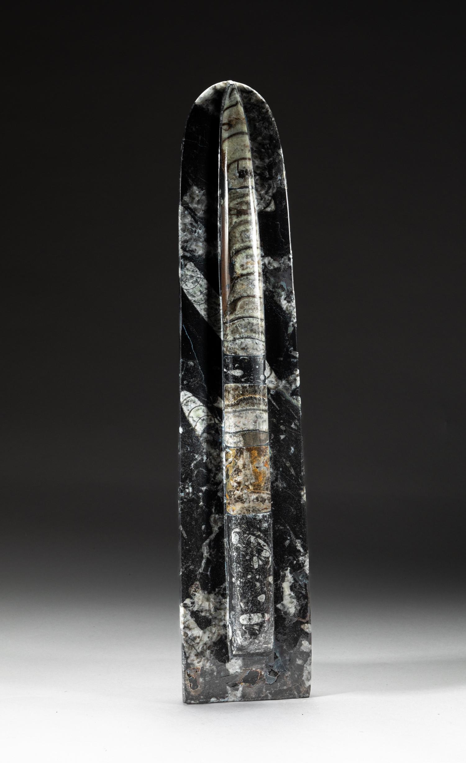 Rare Designed Fossilized Table Sculpture (1 of 11)