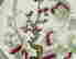 item-120152053=2