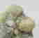item-122518252=10