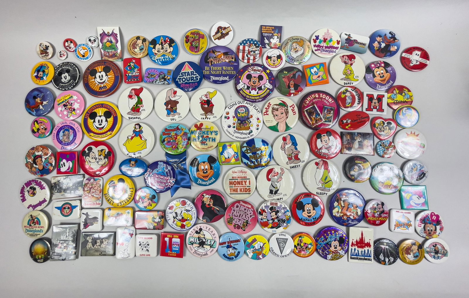 Large Group Disney Type Badges (1 of 12)