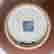 item-127813748=4