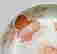 item-127813968=4