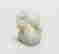 item-127814306=2