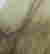 item-130297571=11