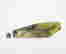 item-130297571=2